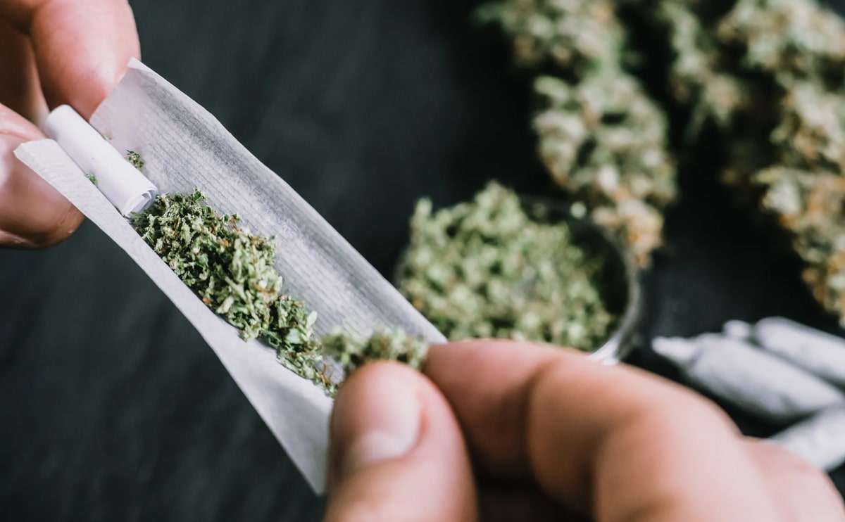 medical-marijuana-blog-img-3 medical-marijuana-blog-img-3